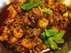 -绝城芋儿鸡(犀浦旗舰店)