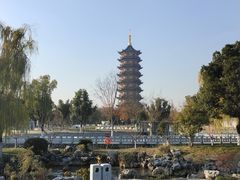 -葛仙湖公园