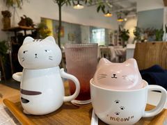 -吉丁鸟咖·异宠·寄养