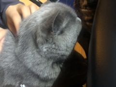 -不止轰趴独栋别墅户外烧烤(颐西庄园店)