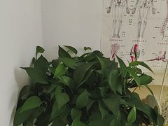 -体康盲人专业推拿