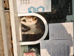 -清真·二嫂子煎饼果子(卫津路总店)