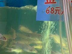 -米氏火鱼·泡椒鱼火锅(李子坝老店)