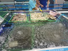 -盒马鲜生(大成店)
