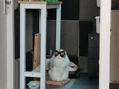 -零纪元VR体验馆·桌游(黄浦店)