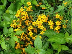 -优游吧斯邹族文化部落