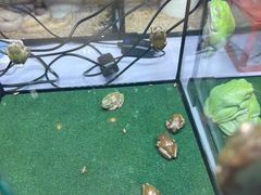 -三旗百汇商品城