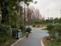 -福州肆爪动物医院