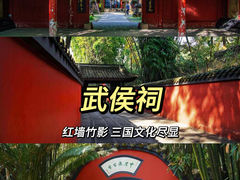 -成都大熊猫繁育研究基地