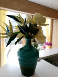 -佐登妮丝美容SPA生活馆