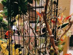 -金海湾自助餐厅(金陵饭店)