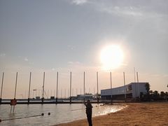-碧海金沙