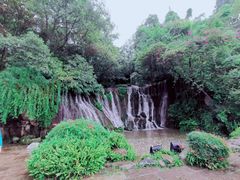-峨眉山报国寺
