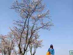 -幕燕滨江·长江观音景区