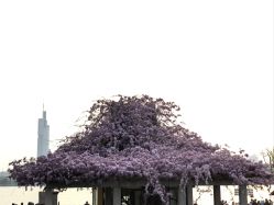 点击看大图 -玄武湖景区-情侣园游乐场