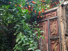 -呀路古热带植物园