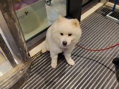 -名仕台球(新唐万科店)