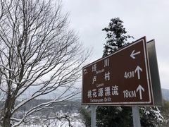 -塔川景区