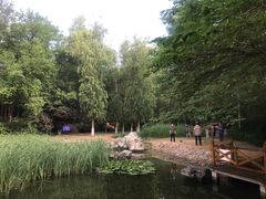 -云岗森林公园