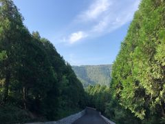 -佛慧山