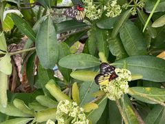 -新塘水果乐园(东洲大道店)