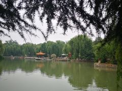 -西苑公园