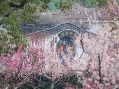 -东湖听涛景区