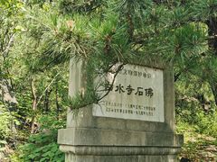 -白水寺森林公园