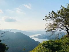 -铁山坪森林公园