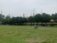 -洪湖家庭农场·团建·露营·会议