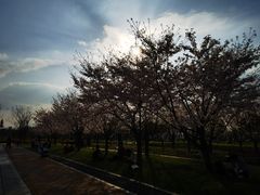 -上海山野camping·户外天幕烧烤·团建拓展营地