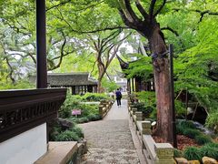 -上海醉白池公园