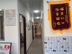 -守诺宠物医院·眼科· 神经外科·爬宠专科(虹口店)
