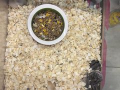 -钓仓鼠(洋桥北里小区店)