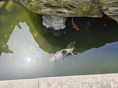 -南京市江宁方山