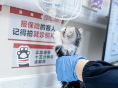 -御宝贝24h宠物医院·转诊中心·CT核磁血透中心(厦门总院)