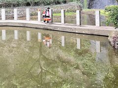 -西樵山风景名胜区-天湖公园