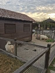 -太湖雪蚕桑文化园