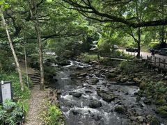 -广州市石门国家森林公园