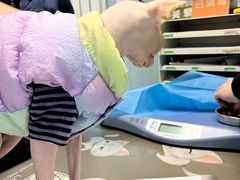 -纳吉亚猫专科动物诊疗中心(蒋宅口分院)