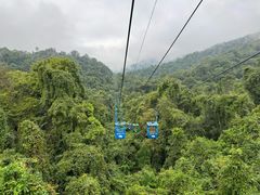 -野象谷景区