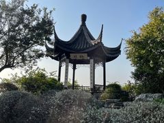 -贡湖湾湿地公园