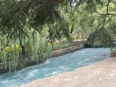 -九寨沟-树正沟