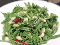 大扁仁丝瓜尖-新乾隆酒楼(帝景园店)