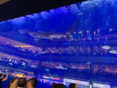 -成都浩海立方海洋公园