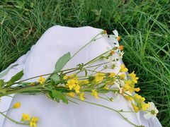 -光明小镇欢乐田园