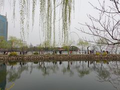 -无锡蠡湖国家湿地公园-蠡园