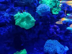 -上和臻品中国菜(花园街店)