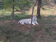 -石家庄市动物园