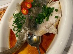 -老伙记海鲜码头(北滘店)